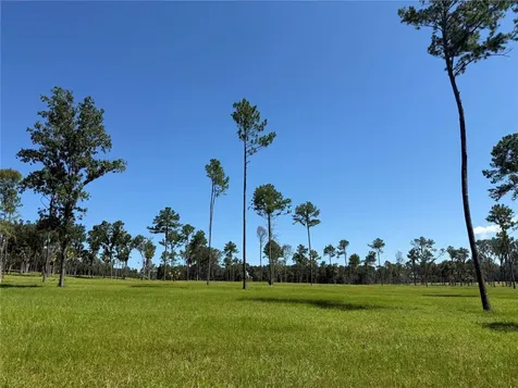 Do #6 (24ac) NW 193rd Street Micanopy FL 32667