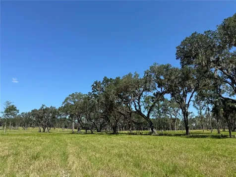 Do #6 (24ac) NW 193rd Street Micanopy FL 32667