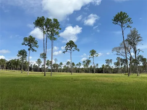 Do #6 (24ac) NW 193rd Street Micanopy FL 32667
