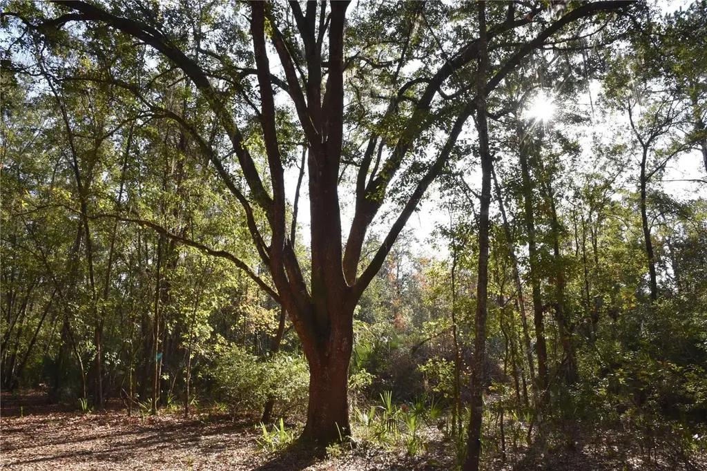 81 Clouds Avenue Interlachen FL 32148