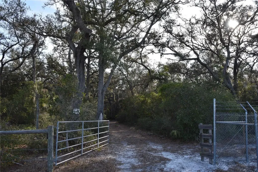 81 Clouds Avenue Interlachen FL 32148