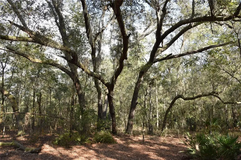 81 Clouds Avenue Interlachen FL 32148