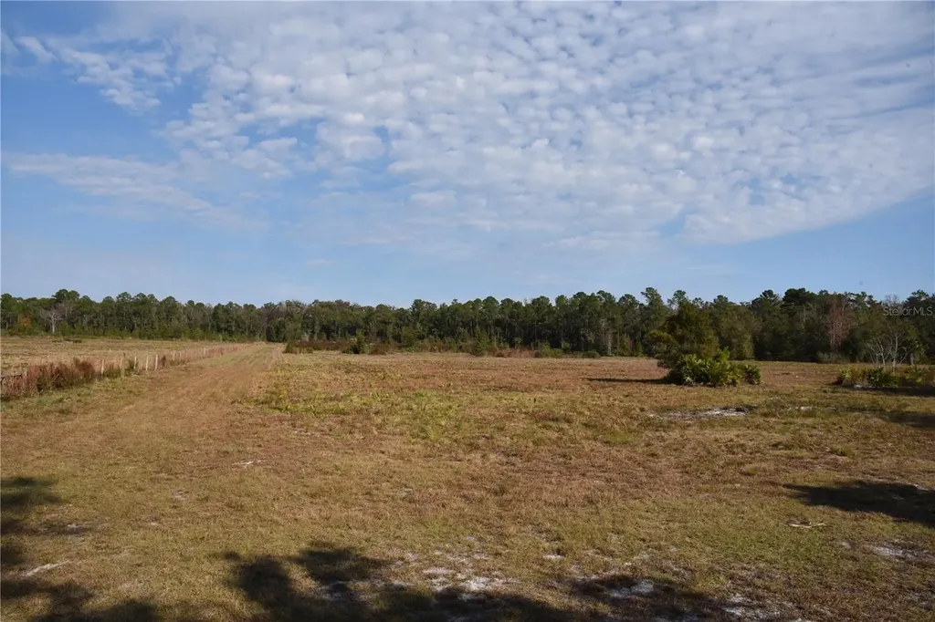 81 Clouds Avenue Interlachen FL 32148