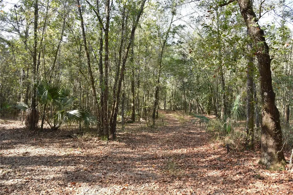81 Clouds Avenue Interlachen FL 32148