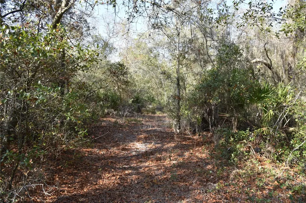 81 Clouds Avenue Interlachen FL 32148