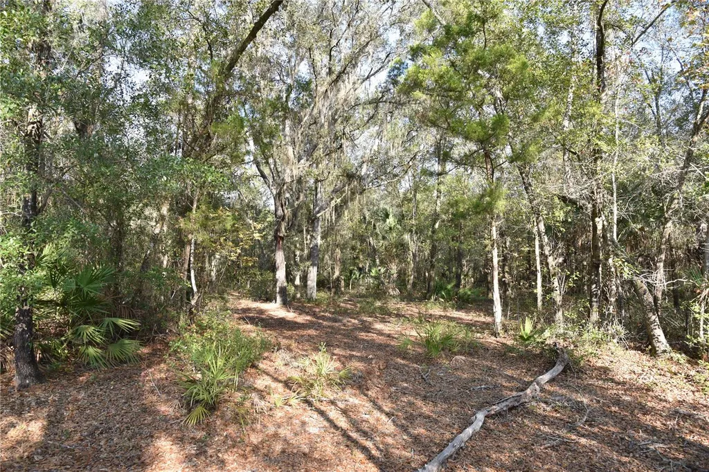 81 Clouds Avenue Interlachen FL 32148