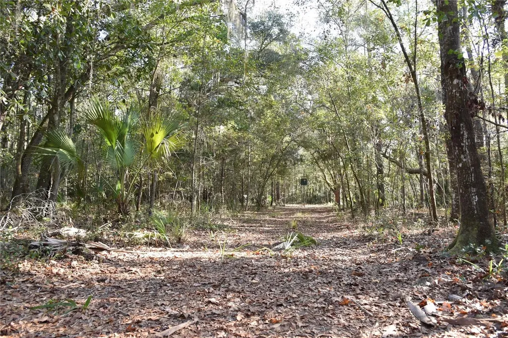 81 Clouds Avenue Interlachen FL 32148