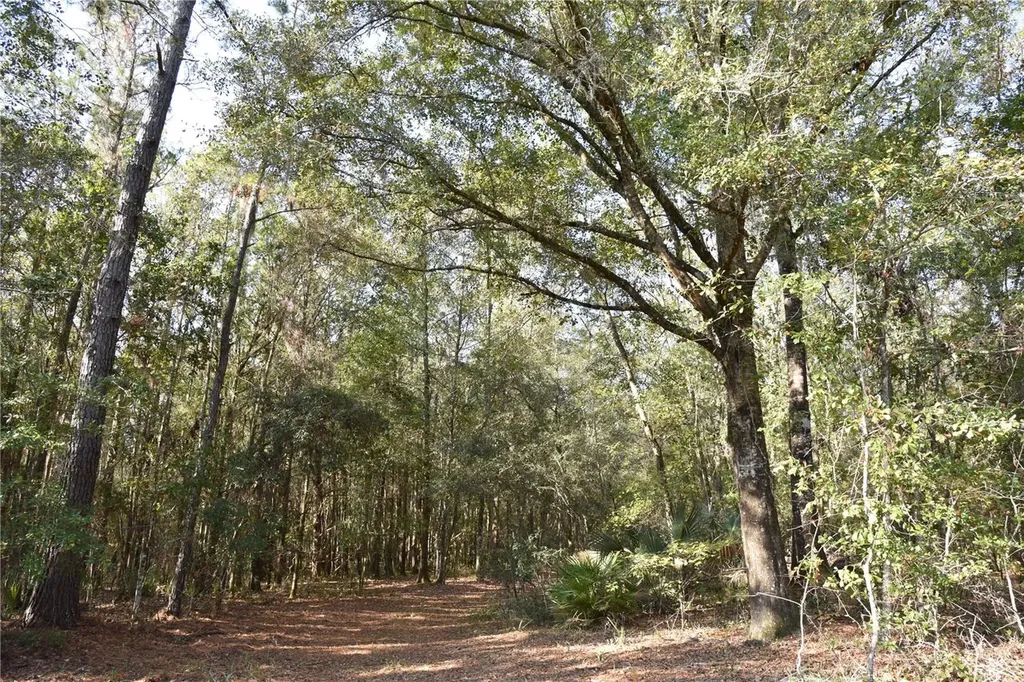 81 Clouds Avenue Interlachen FL 32148