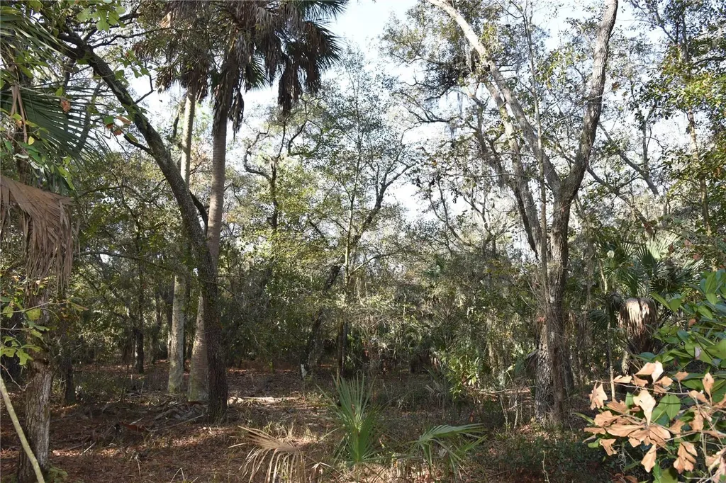 81 Clouds Avenue Interlachen FL 32148
