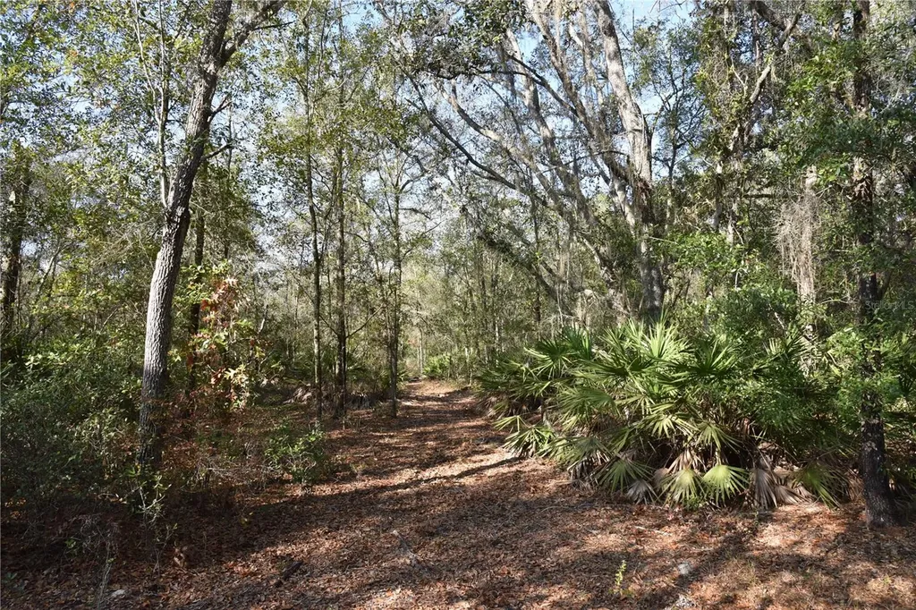 81 Clouds Avenue Interlachen FL 32148