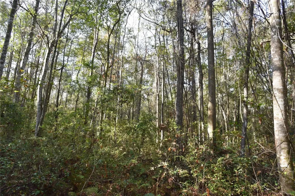 81 Clouds Avenue Interlachen FL 32148