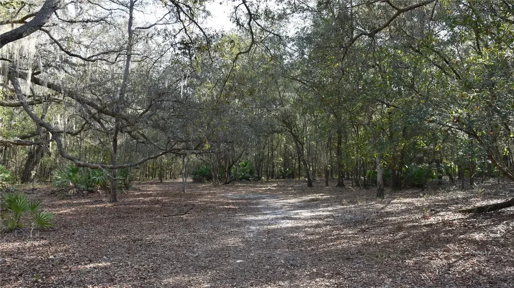 81 Clouds Avenue Interlachen FL 32148