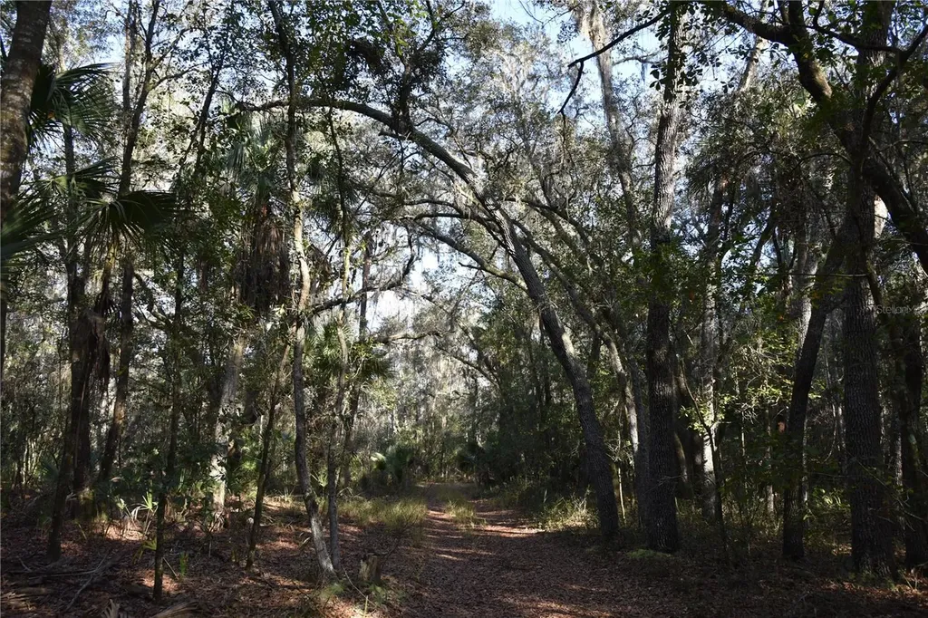 81 Clouds Avenue Interlachen FL 32148