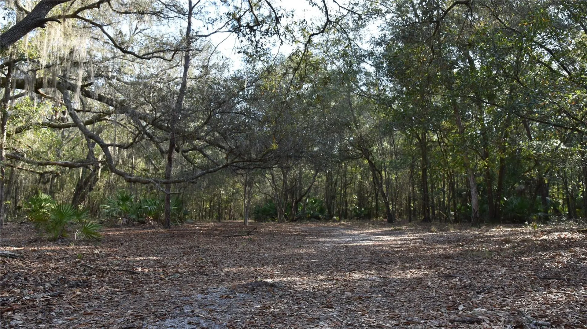 81 Clouds Avenue Interlachen FL 32148