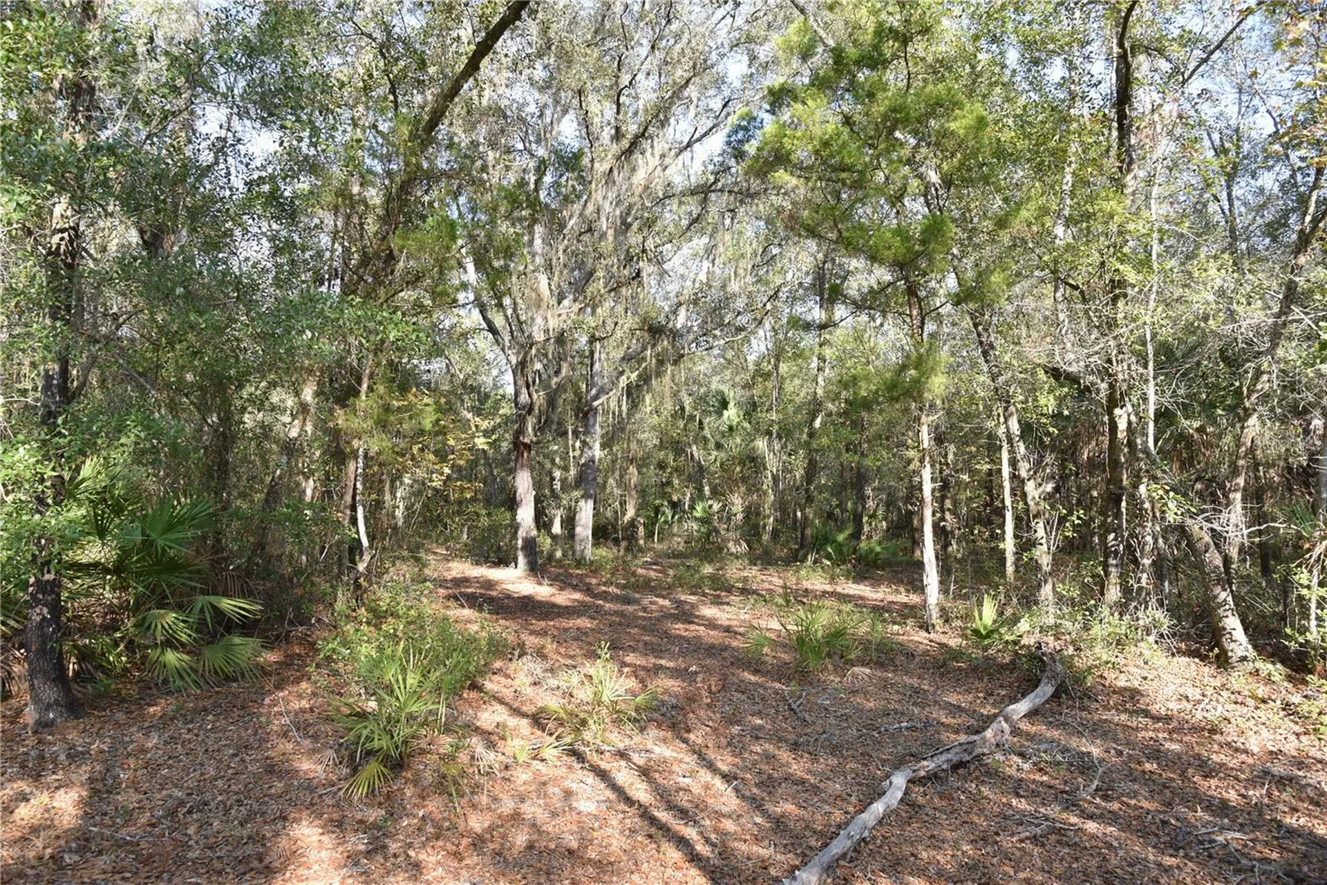 81 Clouds Avenue Interlachen FL 32148