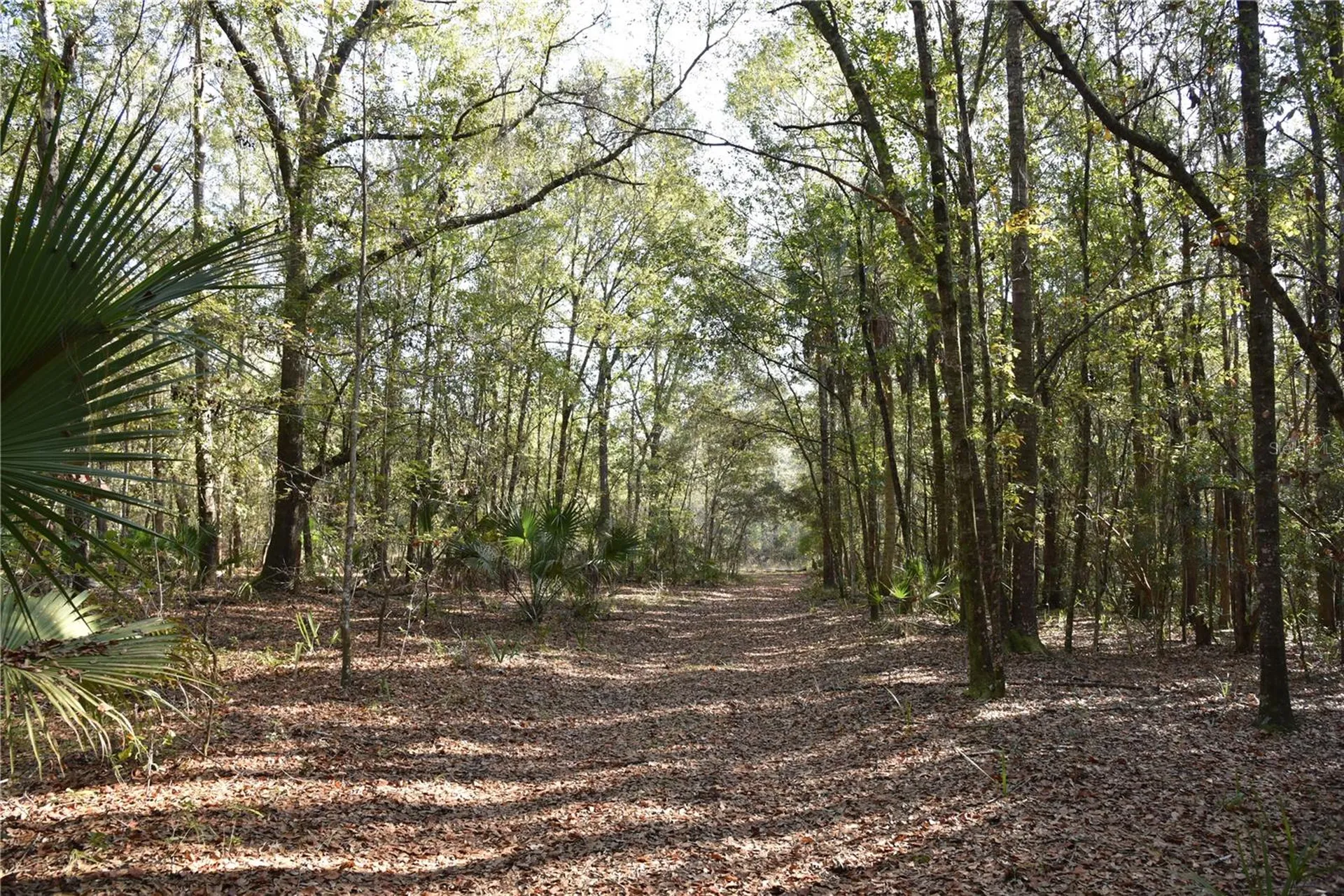 81 Clouds Avenue Interlachen FL 32148