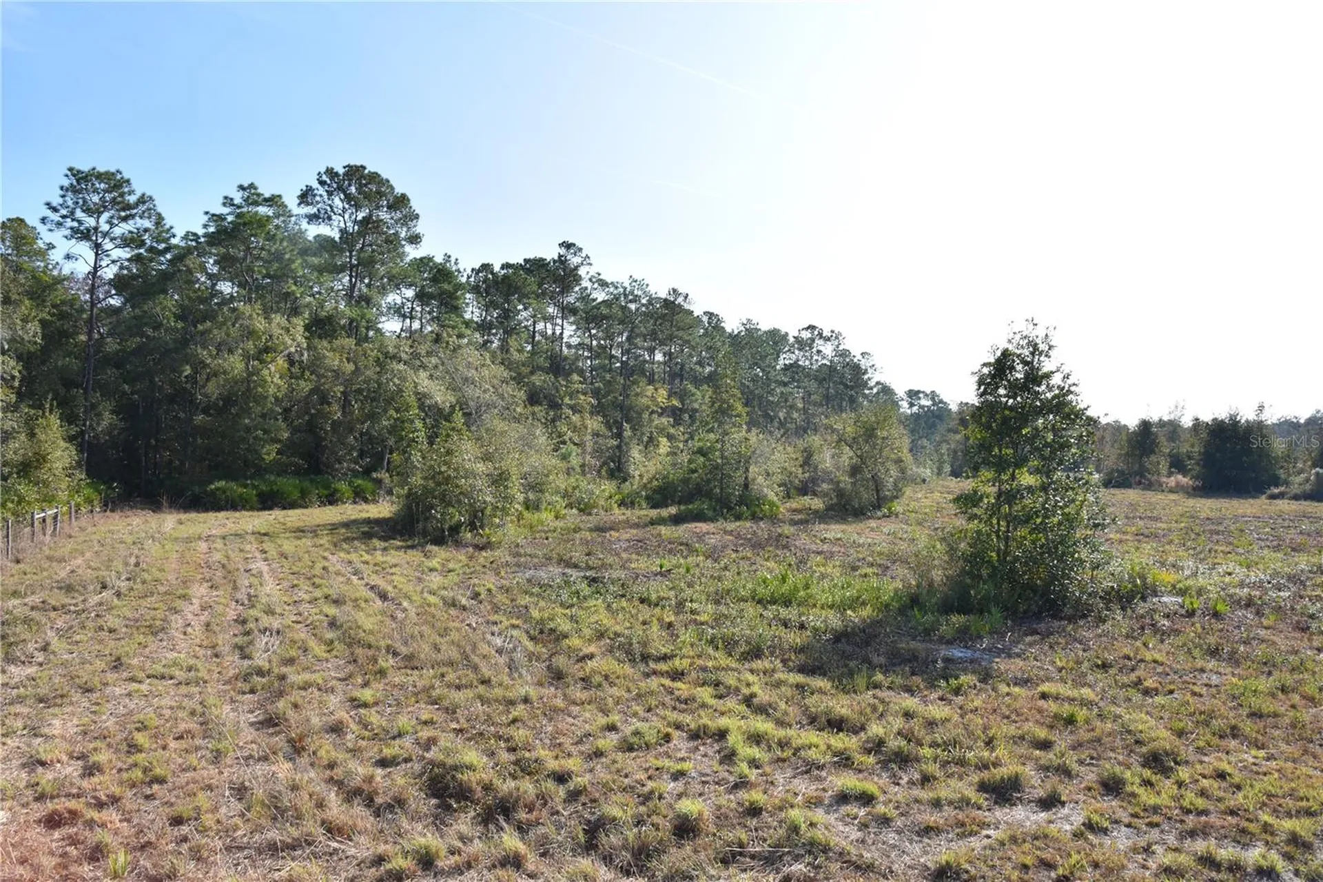 81 Clouds Avenue Interlachen FL 32148