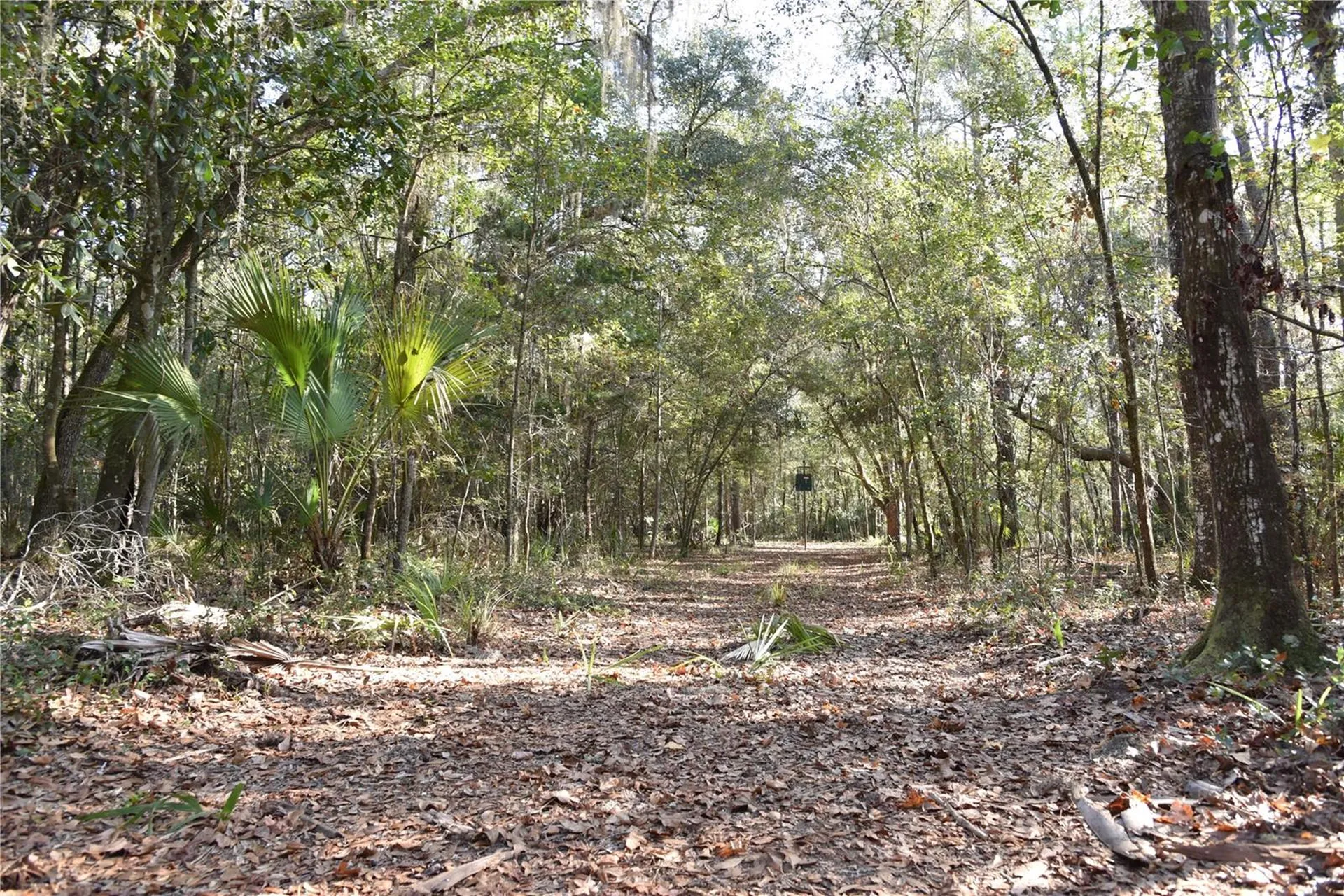 81 Clouds Avenue Interlachen FL 32148
