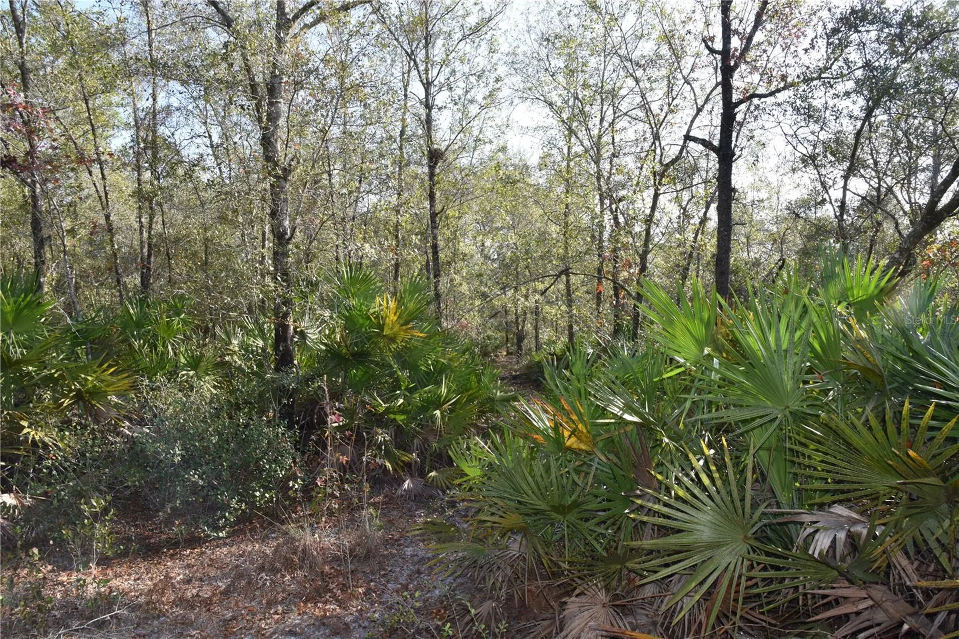 81 Clouds Avenue Interlachen FL 32148