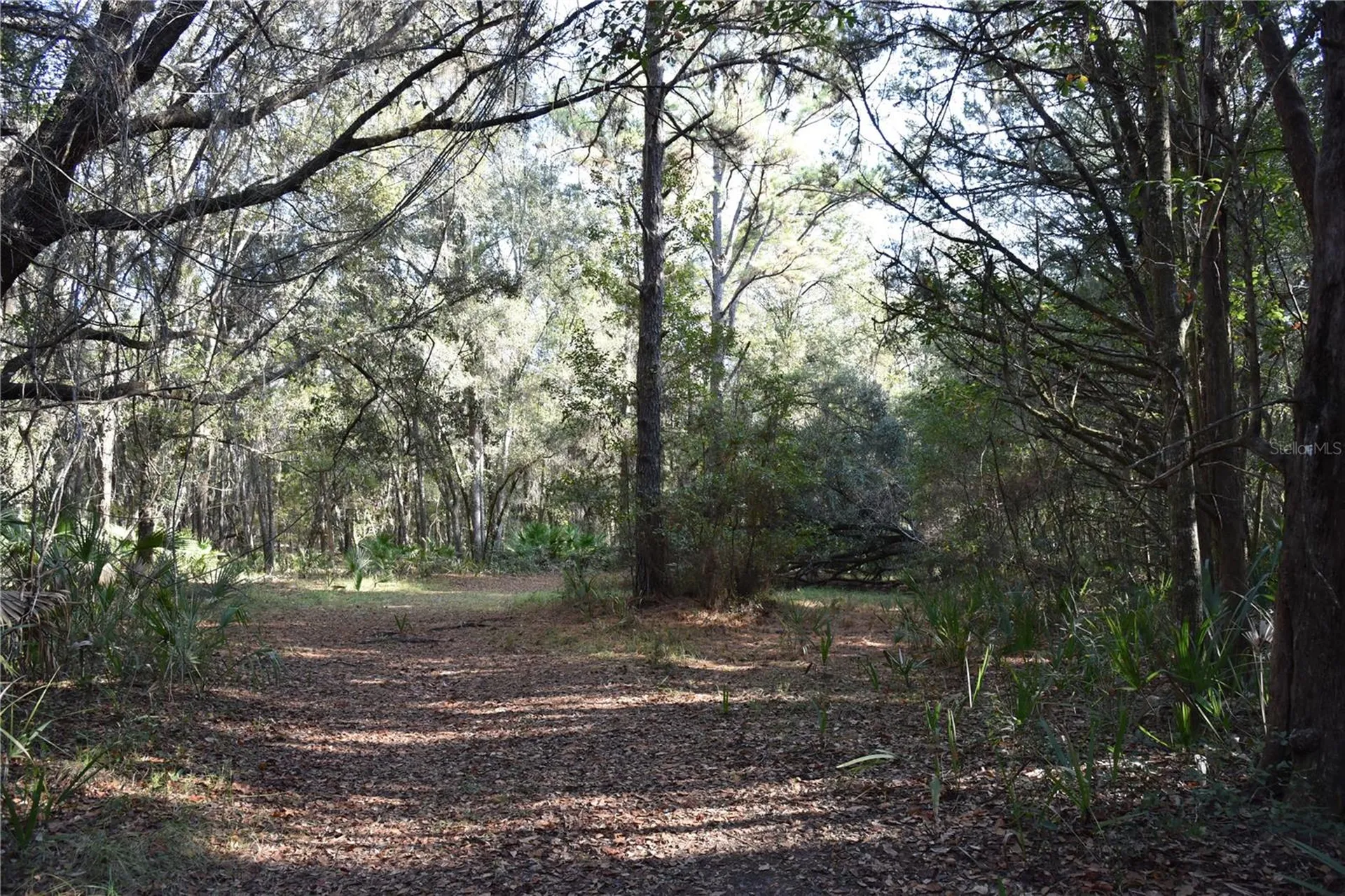 81 Clouds Avenue Interlachen FL 32148