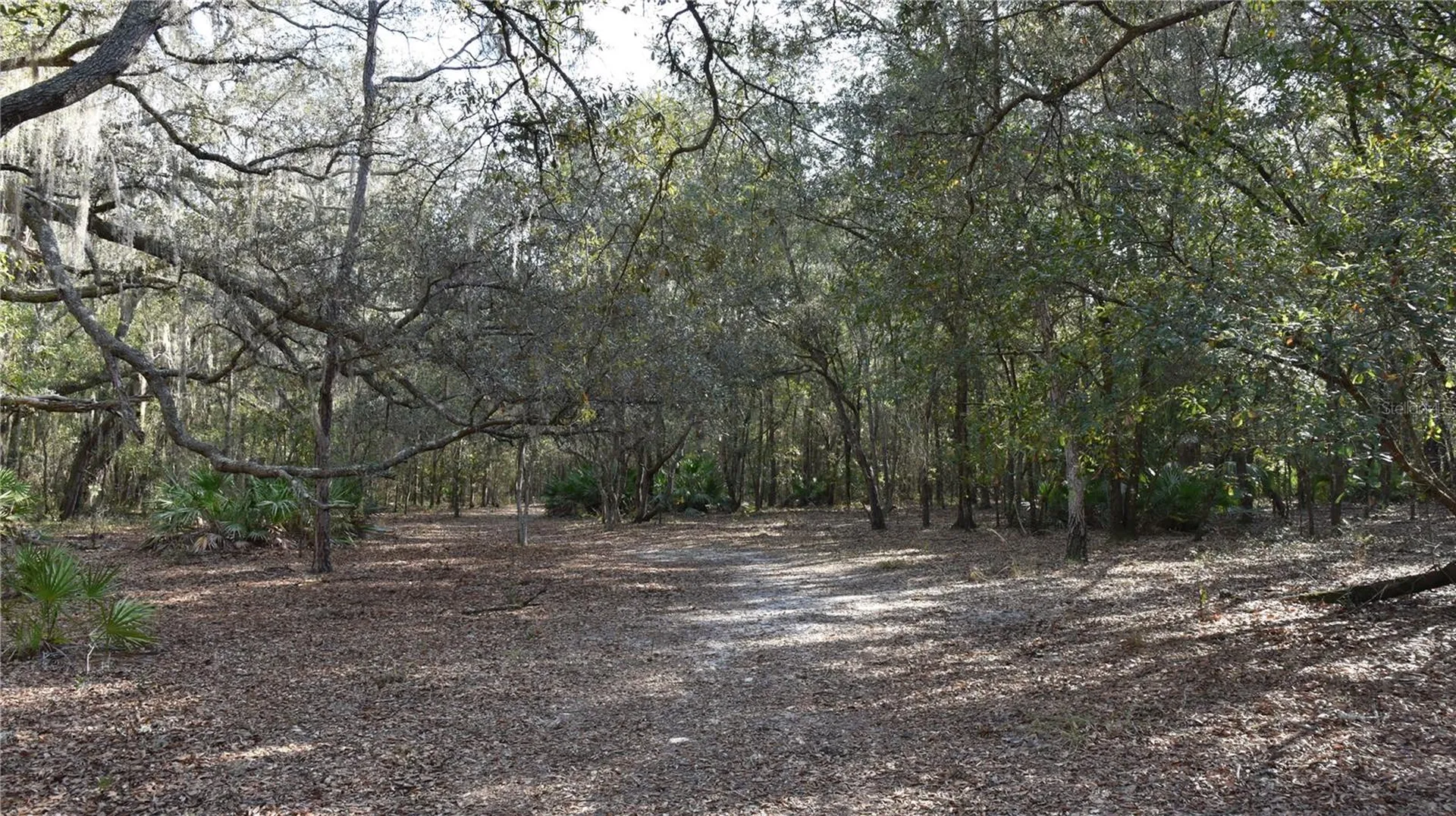 81 Clouds Avenue Interlachen FL 32148