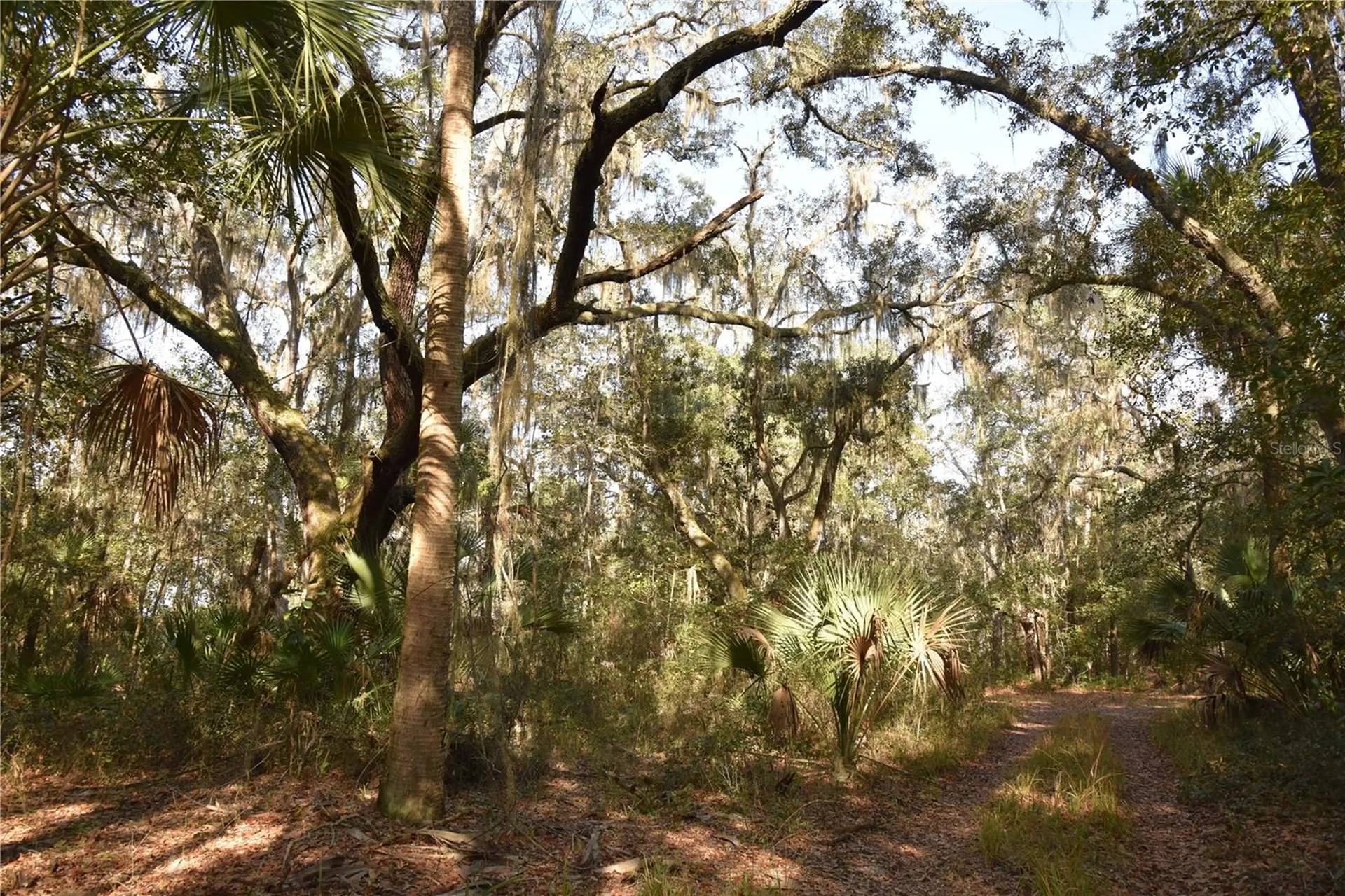 81 Clouds Avenue Interlachen FL 32148