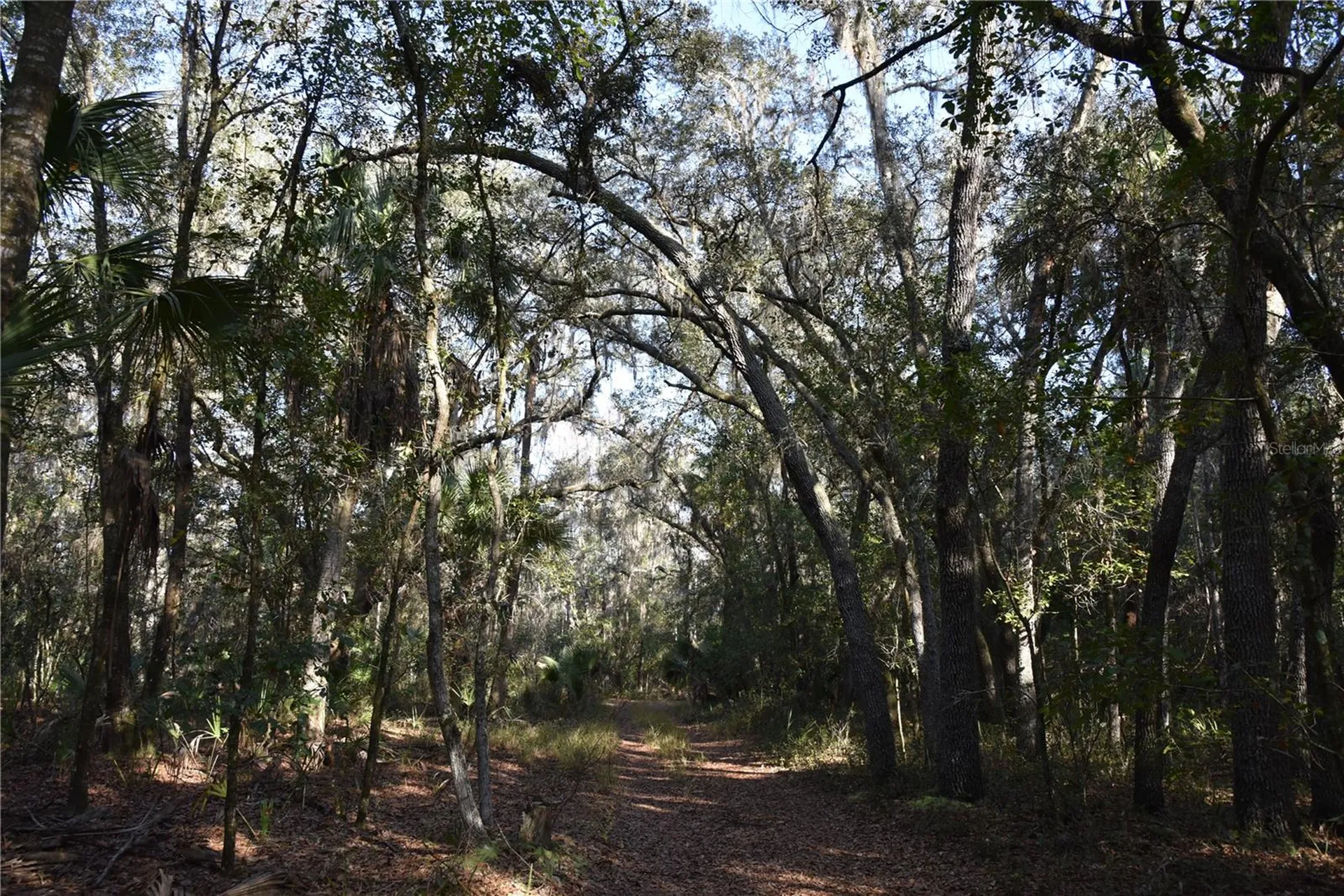 81 Clouds Avenue Interlachen FL 32148