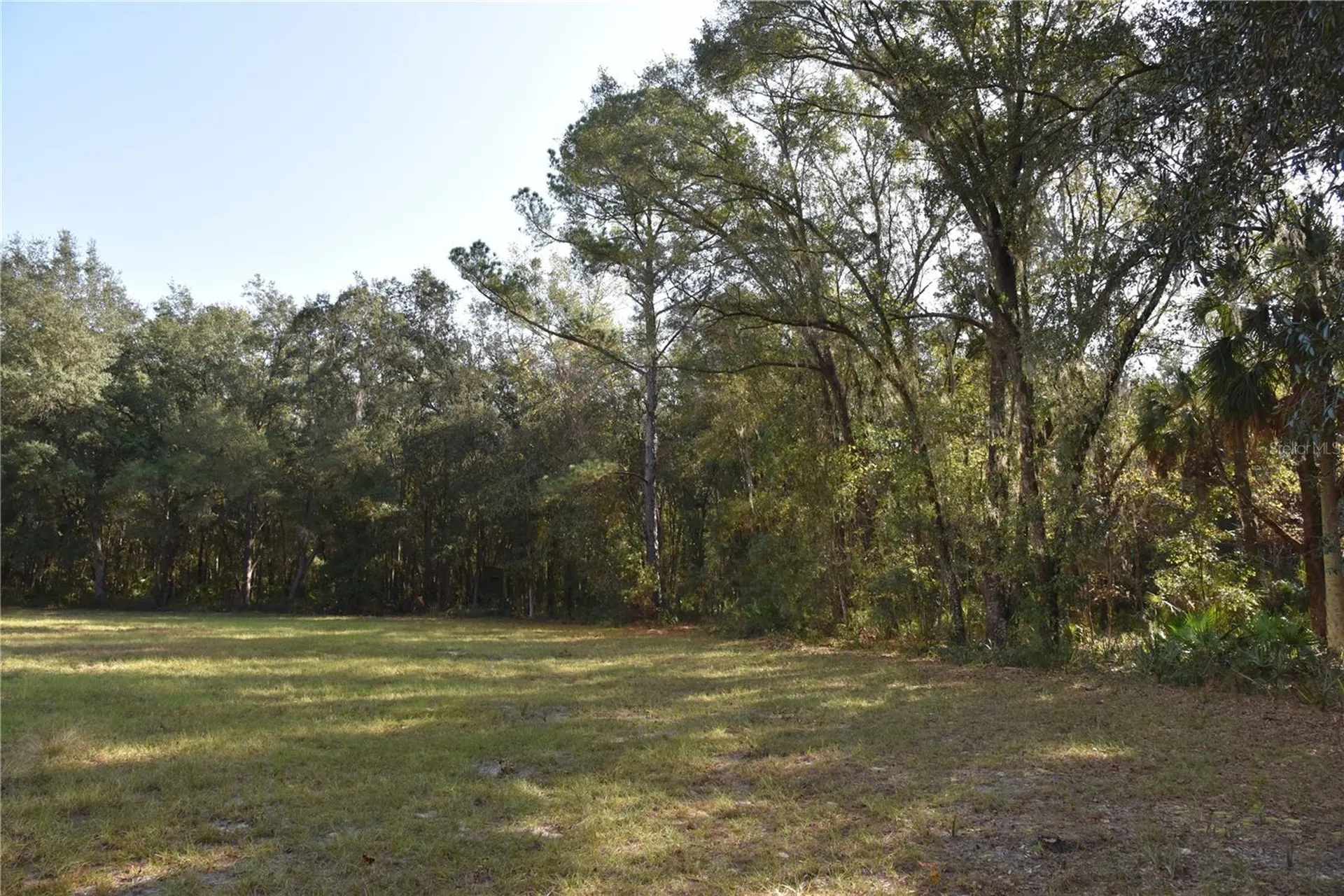 81 Clouds Avenue Interlachen FL 32148