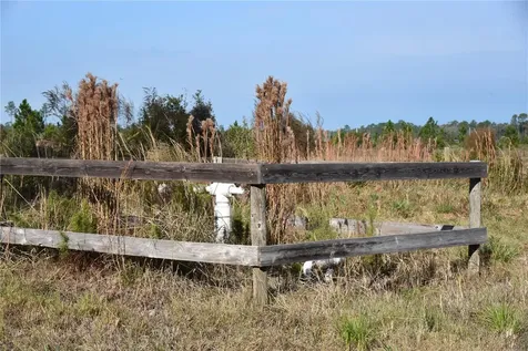81 Clouds Avenue Interlachen FL 32148