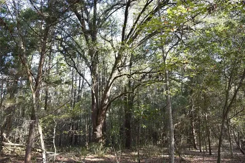 81 Clouds Avenue Interlachen FL 32148