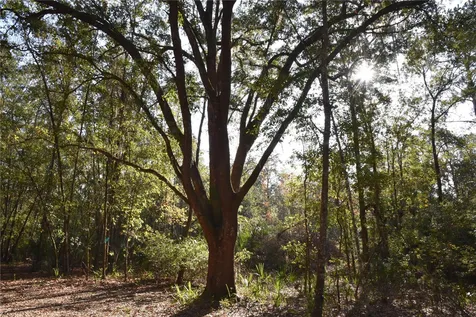 81 Clouds Avenue Interlachen FL 32148