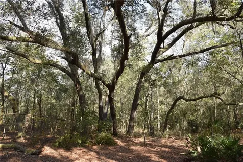 81 Clouds Avenue Interlachen FL 32148