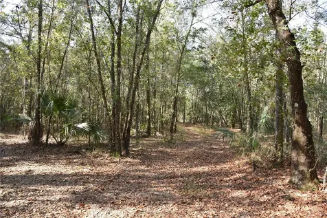 81 Clouds Avenue Interlachen FL 32148