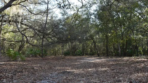 81 Clouds Avenue Interlachen FL 32148