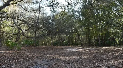 81 Clouds Avenue Interlachen FL 32148