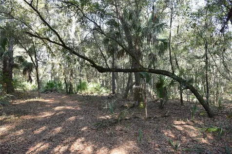 81 Clouds Avenue Interlachen FL 32148