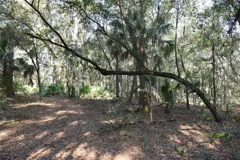 81 Clouds Avenue Interlachen FL 32148