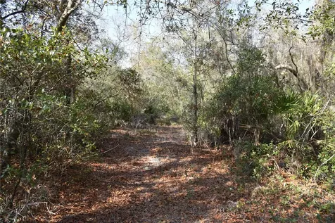 81 Clouds Avenue Interlachen FL 32148