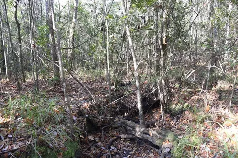 81 Clouds Avenue Interlachen FL 32148