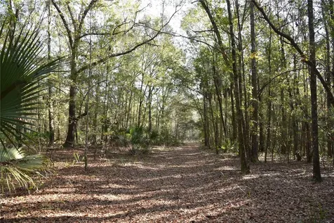 81 Clouds Avenue Interlachen FL 32148