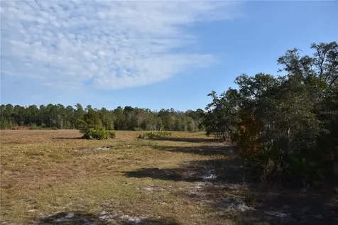 81 Clouds Avenue Interlachen FL 32148