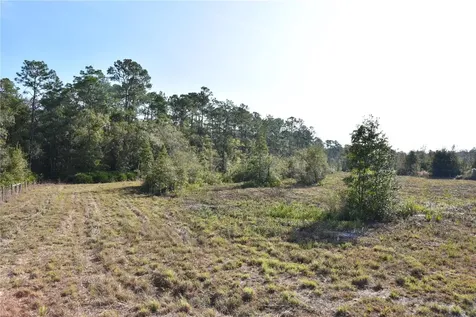 81 Clouds Avenue Interlachen FL 32148