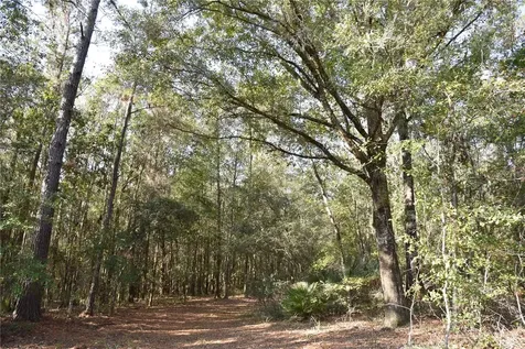 81 Clouds Avenue Interlachen FL 32148