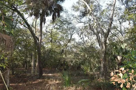 81 Clouds Avenue Interlachen FL 32148