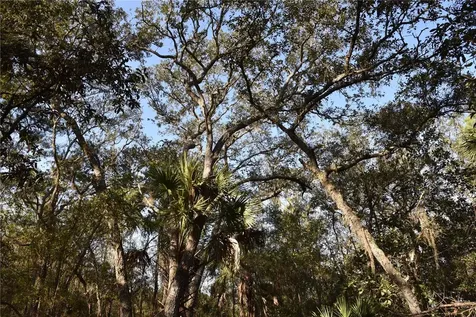 81 Clouds Avenue Interlachen FL 32148