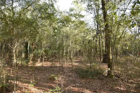 81 Clouds Avenue Interlachen FL 32148