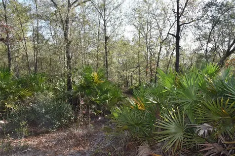81 Clouds Avenue Interlachen FL 32148