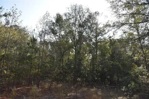 81 Clouds Avenue Interlachen FL 32148