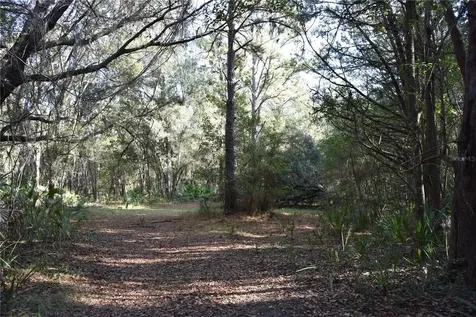 81 Clouds Avenue Interlachen FL 32148