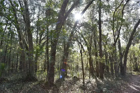 81 Clouds Avenue Interlachen FL 32148